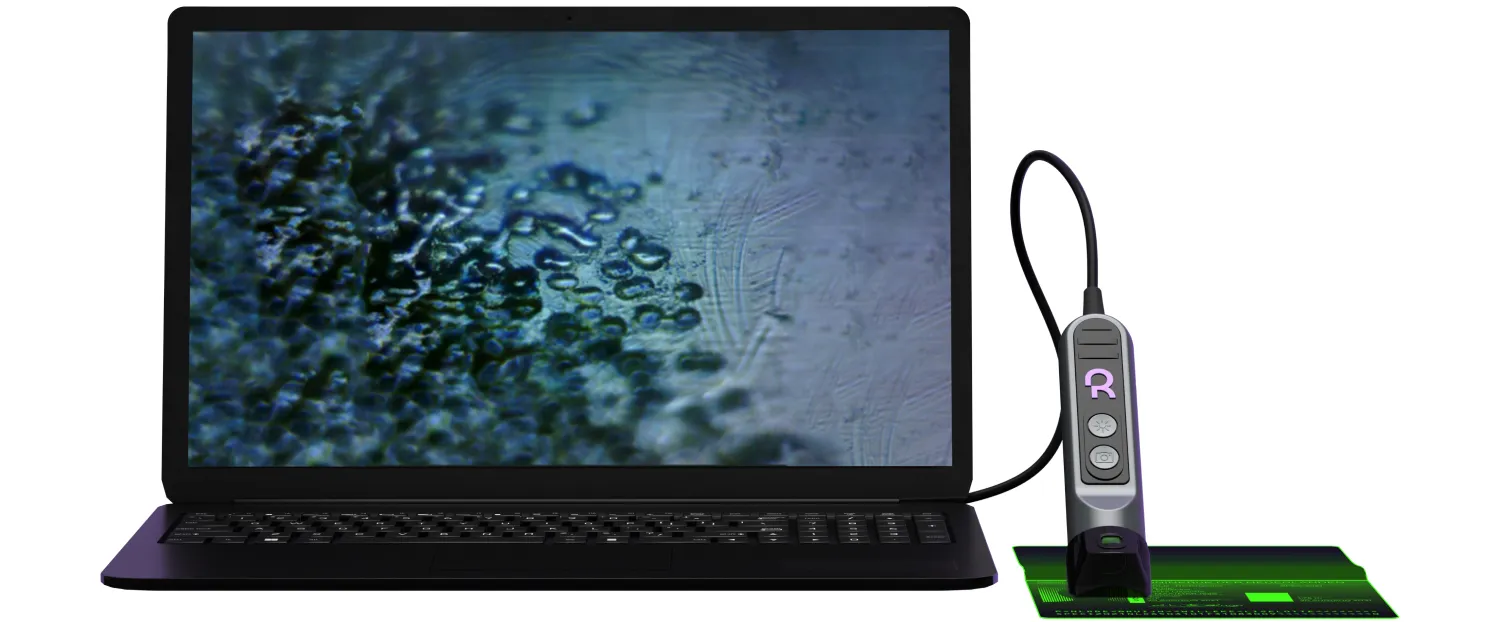 The Regula 4166 can be used independently, as well as extend the capabilities of Regula devices